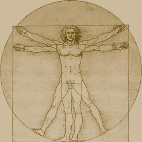 3д модель Витрувианского человека Картина Да Винчи