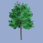 3d-tree-03