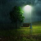 Rain In Forest With Tree, Lamp
