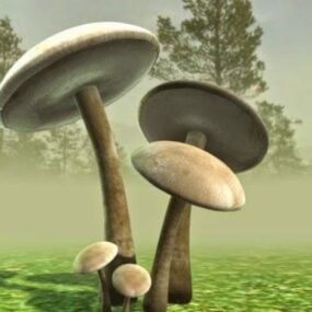 Bunch Of Mushroom Plant 3d model