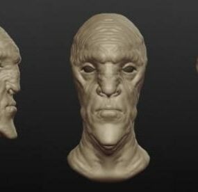 Alien Bust Sculpt 3d model