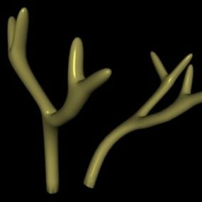 Antlers Animal Horn 3d model