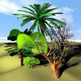 Tropikal Ağaç Palmiye Hindistan Cevizi 3d modeli