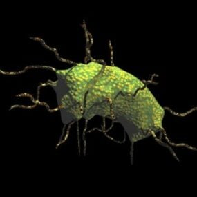 박테리아 바이러스 가시 민달팽이 3d 모델