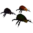 Beetle Animal Set