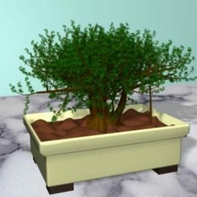 पॉट 3डी मॉडल के साथ बोनसाई पेड़