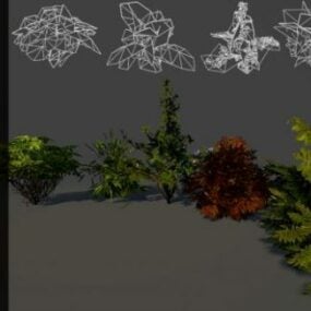 مجموعة شجيرات النبات نموذج ثلاثي الأبعاد