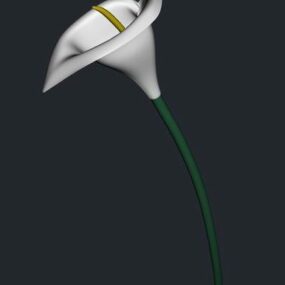 Modelo 3d de flor de lírio de Calla