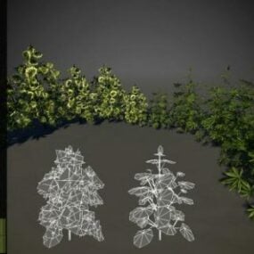 مدل سه بعدی شاهدانه درخت کریسمس