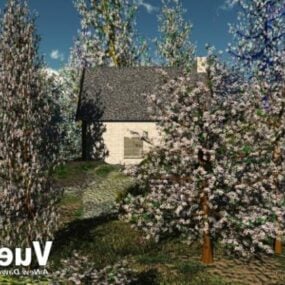Cherry Trees With House Bulding 3d model