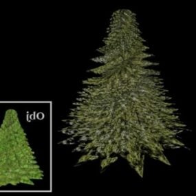 Model 3d Pohon Pinus Natal yang realistis
