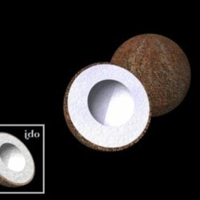 Fruit de noix de coco avec tranche modèle 3D