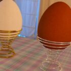 Copo de ovo decorativo para férias