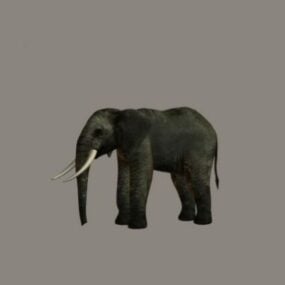 3д модель зрелого слона