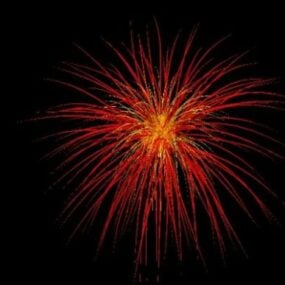 Holiday Fireworks Fire Burst 3d model