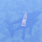 Barco pesquero sobre un animal ballena