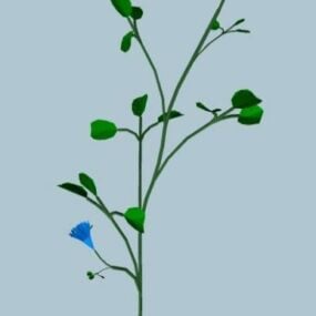 Small Flower With Leaf 3d model