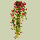 Red Flower Ivy Plant