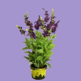 紫色花盆栽装饰3d模型