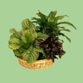 Potted Flower Basket 3d model