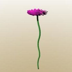 Kleine paarse bloem één tak 3D-model