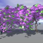 Purple Flowering Ivy Bushes