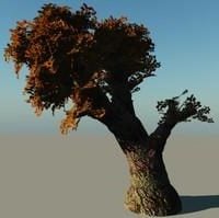 3д модель широколистного африканского дерева