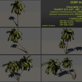 Palmiye Ağacı Hindistan Cevizi Ağacı Seti 3D model