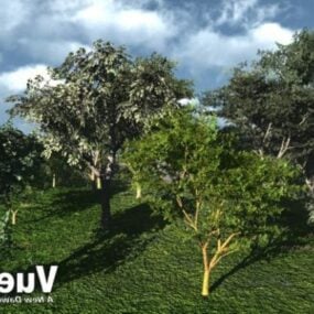 Paysage arc-en-ciel de forêt de rivière modèle 3D