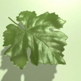 포도 잎 3d 모델