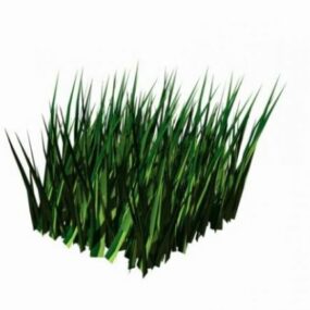 Grass Square Unit 3d model