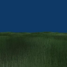 Трав'яний пейзаж з небом 3d модель