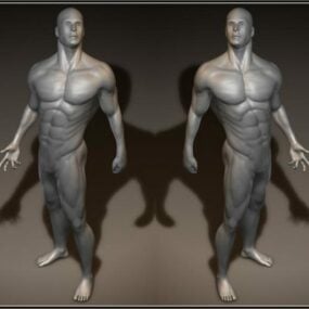 강한 몸매 남자 캐릭터 3d 모델