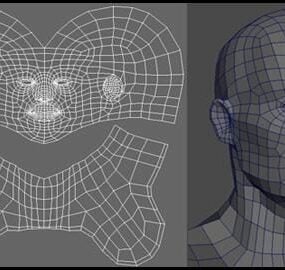 Siatka podstawy głowy z modelem Uvw 3D
