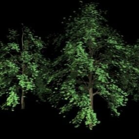 Highpoly مدل سه بعدی درختی