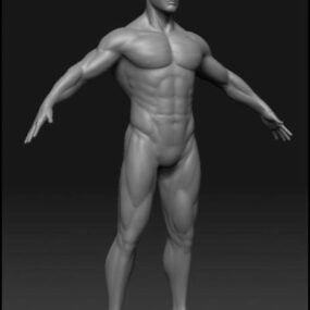 Personnage athlétique masculin modèle 3D