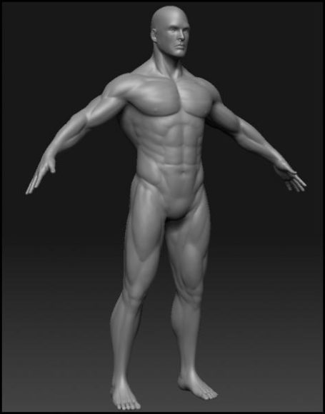 Male Athletic Character