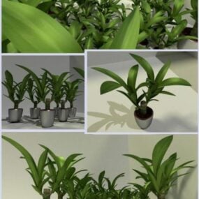 Juego de plantas en macetas pequeñas para interiores modelo 3d