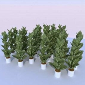 كومة نباتات داخلية مع وعاء نموذج ثلاثي الأبعاد