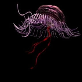 Modelo 3d de animales marinos de medusas