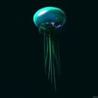 Zwierzę morskie meduzy
