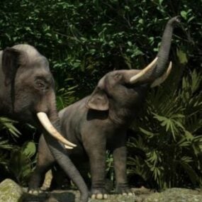 3D-Modell der Dschungelelefanten-Tierfamilie