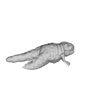 Lowpoly Crawl Insect Animal 3d-modell