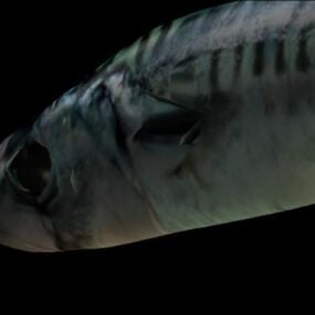 مدل 3 بعدی حیوان ماهی خال مخالی
