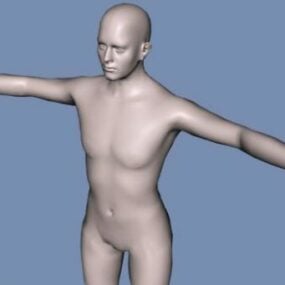 人体ベースメッシュ3Dモデル
