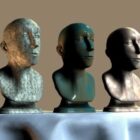 Mannelijke buste met verschillende materialen