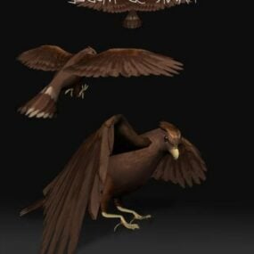 3D model zvířete Hawk Bird