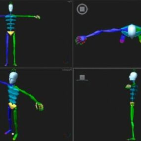 Human Rigged 3D-Modell eines zweibeinigen Charakters