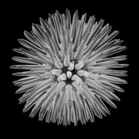 Naukowy model retrokomórki mikrokomórki 3D