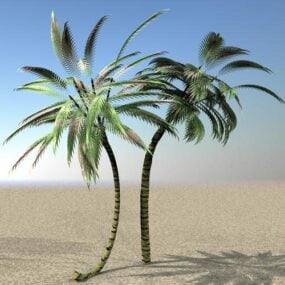 Wüstenpalme 3D-Modell